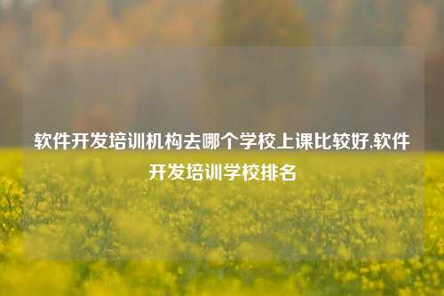 软件开发培训机构去哪个学校上课比较好,软件开发培训学校排名-第1张图片-连云港禾元网络科技有限公司