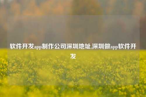 软件开发app制作公司深圳地址,深圳做app软件开发-第1张图片-连云港禾元网络科技有限公司