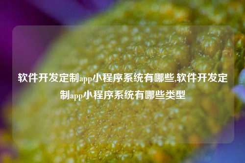 软件开发定制app小程序系统有哪些,软件开发定制app小程序系统有哪些类型-第1张图片-连云港禾元网络科技有限公司