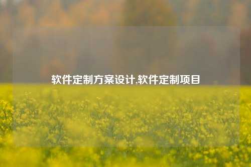 软件定制方案设计,软件定制项目-第1张图片-连云港禾元网络科技有限公司