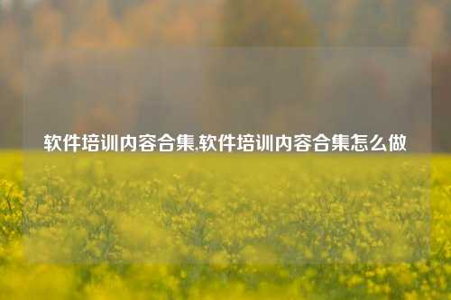 软件培训内容合集,软件培训内容合集怎么做-第1张图片-连云港禾元网络科技有限公司