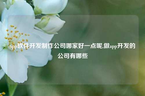 app软件开发制作公司哪家好一点呢,做app开发的公司有哪些-第1张图片-连云港禾元网络科技有限公司