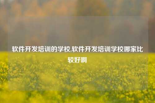 软件开发培训的学校,软件开发培训学校哪家比较好啊-第1张图片-连云港禾元网络科技有限公司