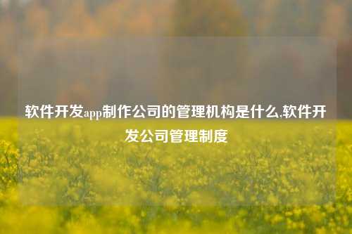 软件开发app制作公司的管理机构是什么,软件开发公司管理制度-第1张图片-连云港禾元网络科技有限公司