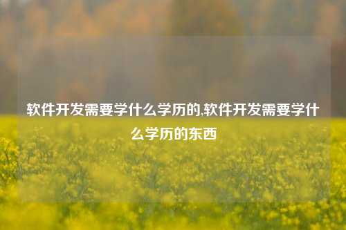 软件开发需要学什么学历的,软件开发需要学什么学历的东西-第1张图片-连云港禾元网络科技有限公司