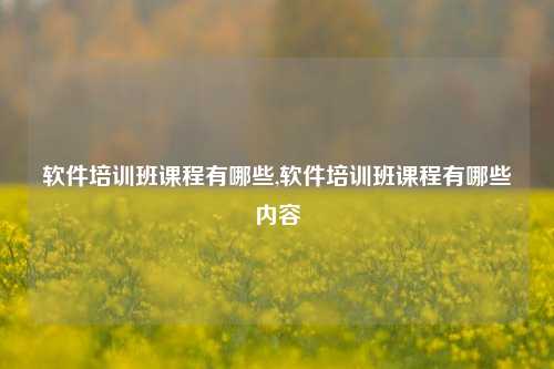 软件培训班课程有哪些,软件培训班课程有哪些内容-第1张图片-连云港禾元网络科技有限公司