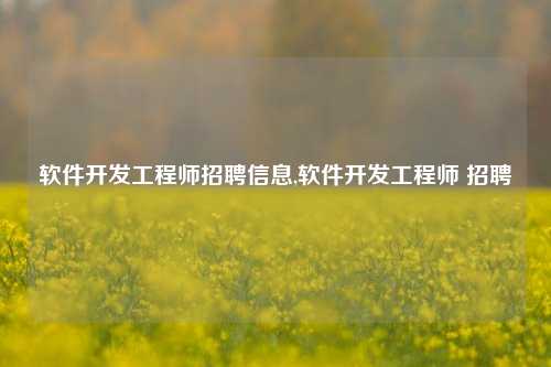 软件开发工程师招聘信息,软件开发工程师 招聘-第1张图片-连云港禾元网络科技有限公司