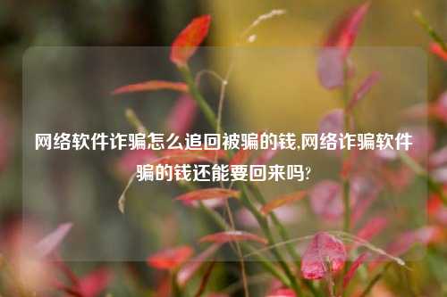 网络软件诈骗怎么追回被骗的钱,网络诈骗软件骗的钱还能要回来吗?-第1张图片-连云港禾元网络科技有限公司