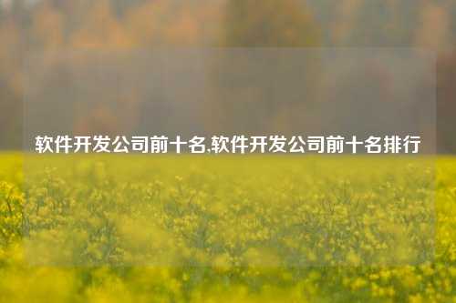 软件开发公司前十名,软件开发公司前十名排行-第1张图片-连云港禾元网络科技有限公司