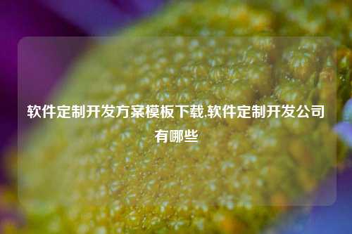 软件定制开发方案模板下载,软件定制开发公司有哪些-第1张图片-连云港禾元网络科技有限公司