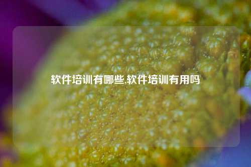 软件培训有哪些,软件培训有用吗-第1张图片-连云港禾元网络科技有限公司