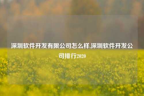 深圳软件开发有限公司怎么样,深圳软件开发公司排行2020-第1张图片-连云港禾元网络科技有限公司