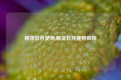 期货软件使用,期货软件使用教程-第1张图片-连云港禾元网络科技有限公司