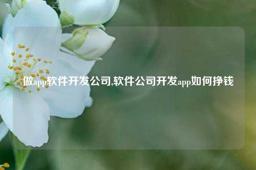 做app软件开发公司,软件公司开发app如何挣钱-第1张图片-连云港禾元网络科技有限公司