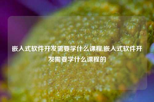 嵌入式软件开发需要学什么课程,嵌入式软件开发需要学什么课程的-第1张图片-连云港禾元网络科技有限公司