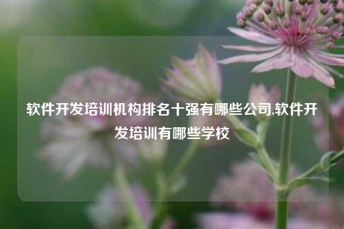 软件开发培训机构排名十强有哪些公司,软件开发培训有哪些学校-第1张图片-连云港禾元网络科技有限公司