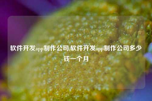 软件开发app制作公司,软件开发app制作公司多少钱一个月-第1张图片-连云港禾元网络科技有限公司