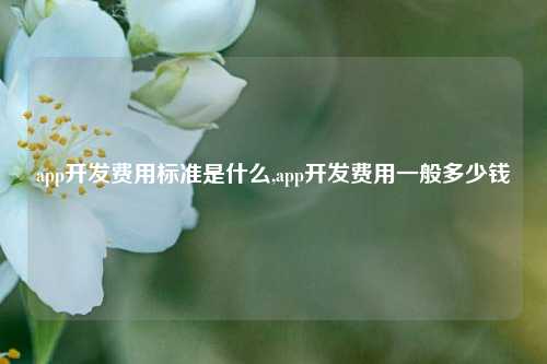 app开发费用标准是什么,app开发费用一般多少钱-第1张图片-连云港禾元网络科技有限公司