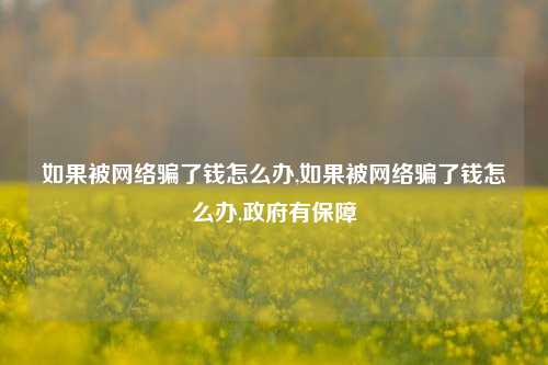 如果被网络骗了钱怎么办,如果被网络骗了钱怎么办,政府有保障-第1张图片-连云港禾元网络科技有限公司