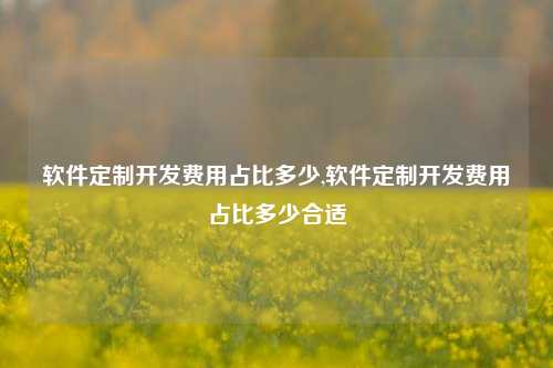 软件定制开发费用占比多少,软件定制开发费用占比多少合适-第1张图片-连云港禾元网络科技有限公司