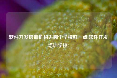 软件开发培训机构去哪个学校好一点,软件开发培训学校!-第1张图片-连云港禾元网络科技有限公司