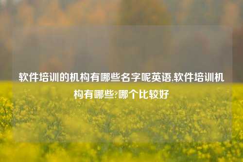 软件培训的机构有哪些名字呢英语,软件培训机构有哪些?哪个比较好-第1张图片-连云港禾元网络科技有限公司