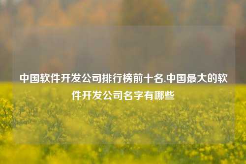 中国软件开发公司排行榜前十名,中国最大的软件开发公司名字有哪些-第1张图片-连云港禾元网络科技有限公司