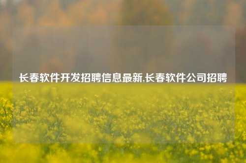 长春软件开发招聘信息最新,长春软件公司招聘-第1张图片-连云港禾元网络科技有限公司