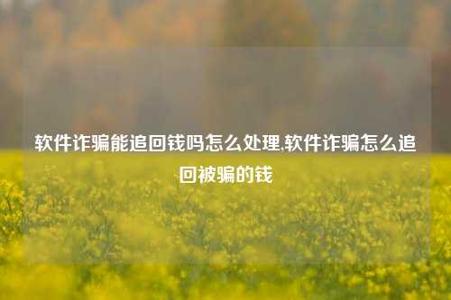 软件诈骗能追回钱吗怎么处理,软件诈骗怎么追回被骗的钱-第1张图片-连云港禾元网络科技有限公司