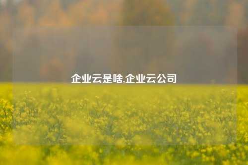 企业云是啥,企业云公司-第1张图片-连云港禾元网络科技有限公司