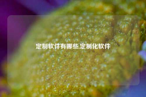 定制软件有哪些,定制化软件-第1张图片-连云港禾元网络科技有限公司