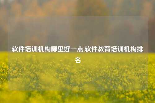 软件培训机构哪里好一点,软件教育培训机构排名-第1张图片-连云港禾元网络科技有限公司