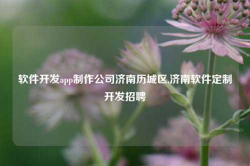 软件开发app制作公司济南历城区,济南软件定制开发招聘-第1张图片-连云港禾元网络科技有限公司