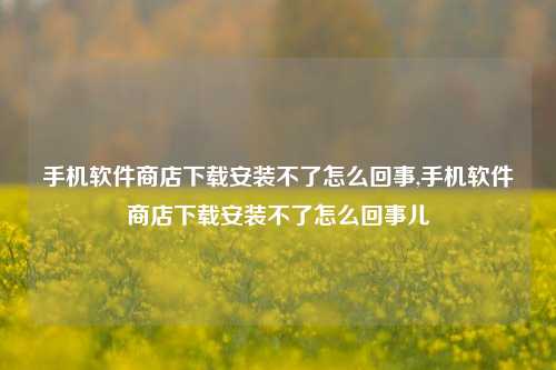 手机软件商店下载安装不了怎么回事,手机软件商店下载安装不了怎么回事儿-第1张图片-连云港禾元网络科技有限公司