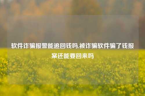 软件诈骗报警能追回钱吗,被诈骗软件骗了钱报案还能要回来吗-第1张图片-连云港禾元网络科技有限公司