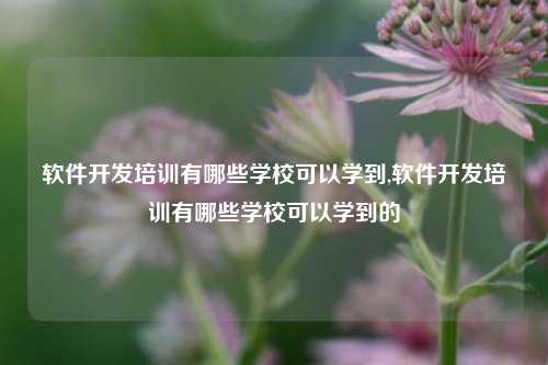 软件开发培训有哪些学校可以学到,软件开发培训有哪些学校可以学到的-第1张图片-连云港禾元网络科技有限公司