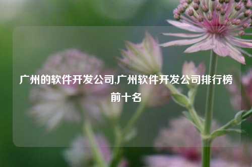 广州的软件开发公司,广州软件开发公司排行榜前十名-第1张图片-连云港禾元网络科技有限公司