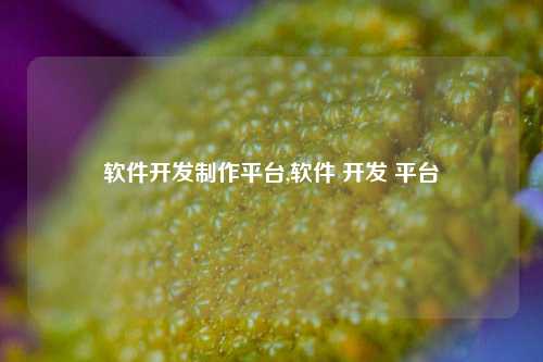 软件开发制作平台,软件 开发 平台-第1张图片-连云港禾元网络科技有限公司