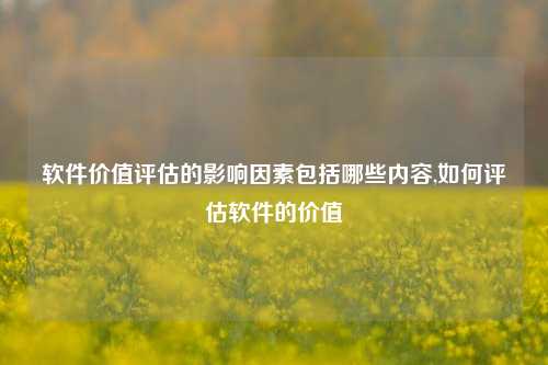 软件价值评估的影响因素包括哪些内容,如何评估软件的价值-第1张图片-连云港禾元网络科技有限公司