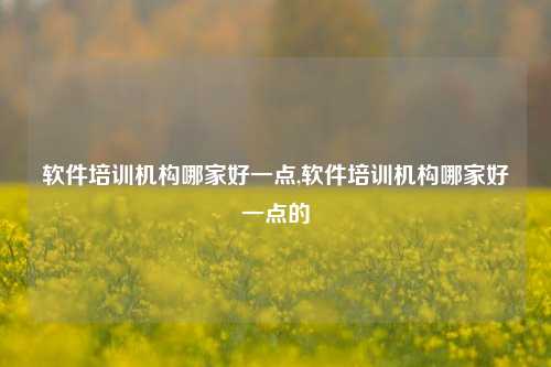 软件培训机构哪家好一点,软件培训机构哪家好一点的-第1张图片-连云港禾元网络科技有限公司