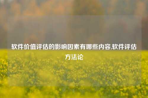 软件价值评估的影响因素有哪些内容,软件评估方法论-第1张图片-连云港禾元网络科技有限公司