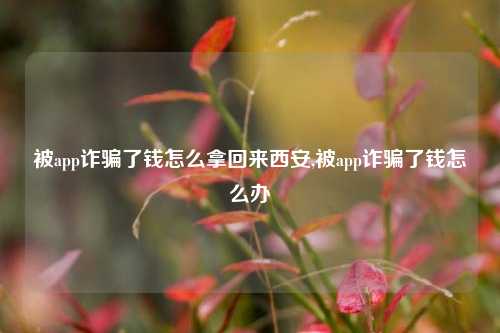 被app诈骗了钱怎么拿回来西安,被app诈骗了钱怎么办-第1张图片-连云港禾元网络科技有限公司