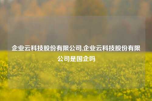 企业云科技股份有限公司,企业云科技股份有限公司是国企吗-第1张图片-连云港禾元网络科技有限公司