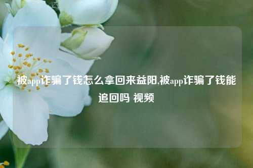 被app诈骗了钱怎么拿回来益阳,被app诈骗了钱能追回吗 视频-第1张图片-连云港禾元网络科技有限公司