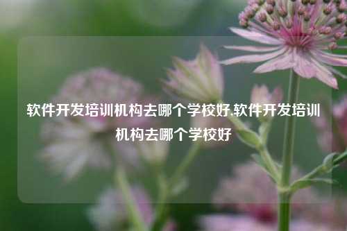 软件开发培训机构去哪个学校好,软件开发培训机构去哪个学校好-第1张图片-连云港禾元网络科技有限公司