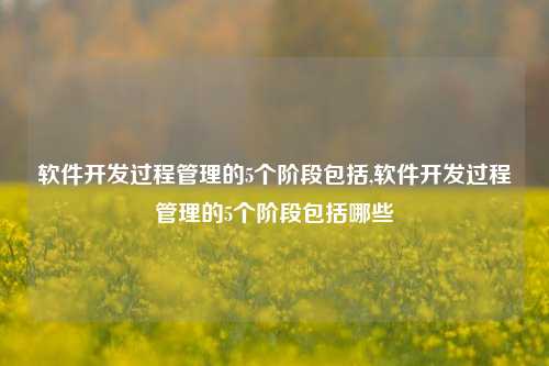 软件开发过程管理的5个阶段包括,软件开发过程管理的5个阶段包括哪些-第1张图片-连云港禾元网络科技有限公司