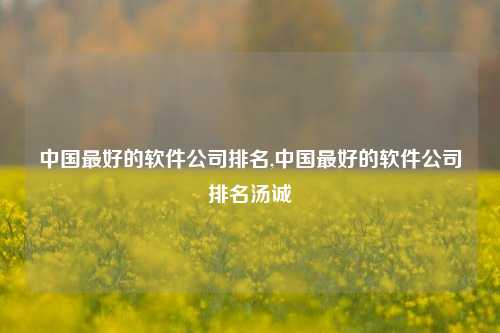 中国最好的软件公司排名,中国最好的软件公司排名汤诚-第1张图片-连云港禾元网络科技有限公司