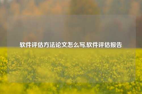 软件评估方法论文怎么写,软件评估报告-第1张图片-连云港禾元网络科技有限公司