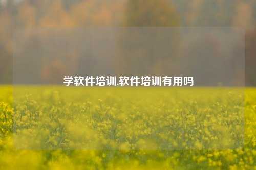 学软件培训,软件培训有用吗-第1张图片-连云港禾元网络科技有限公司