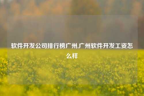 软件开发公司排行榜广州,广州软件开发工资怎么样-第1张图片-连云港禾元网络科技有限公司